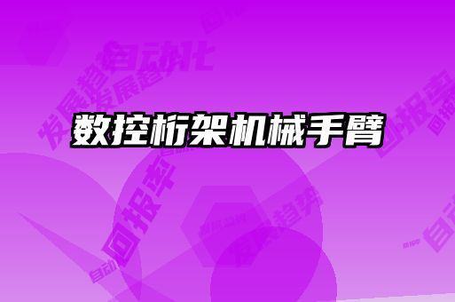 數(shù)控桁架機械手臂