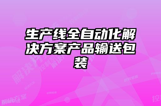 生產線全自動化解決方案產品輸送包裝
