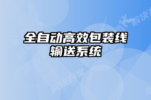 全自動高效包裝線輸送系統