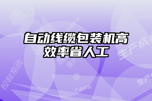 自動線纜包裝機高效率省人工