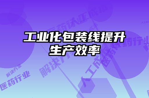 工業化包裝線提升生產效率