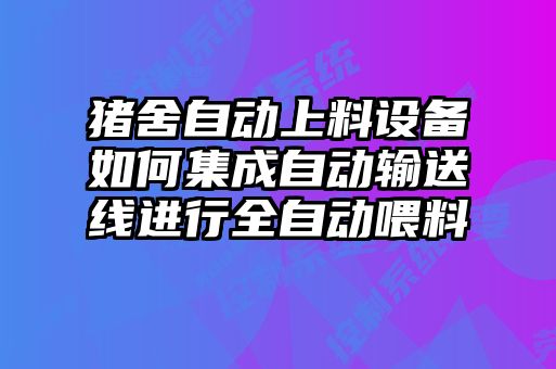 豬舍自動上料設備如何集成自動輸送線進行全自動喂料