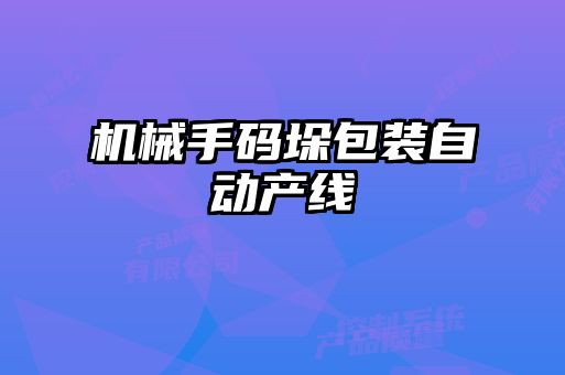 機(jī)械手碼垛包裝自動(dòng)產(chǎn)線