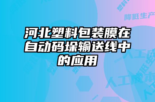 河北塑料包裝膜在自動碼垛輸送線中的應(yīng)用