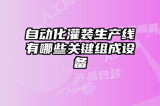自動化灌裝生產線有哪些關鍵組成設備