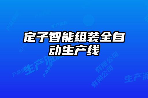 定子智能組裝全自動生產線
