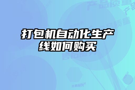打包機自動化生產(chǎn)線如何購買