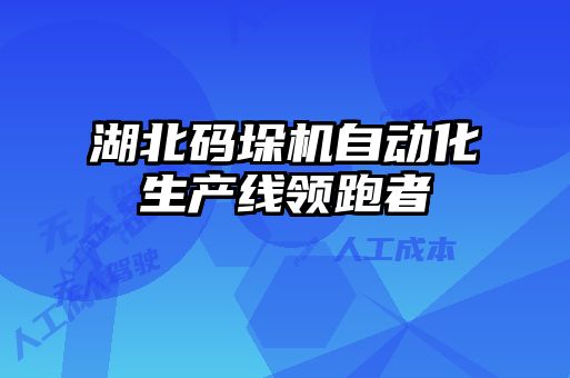 湖北碼垛機自動化生產(chǎn)線領跑者