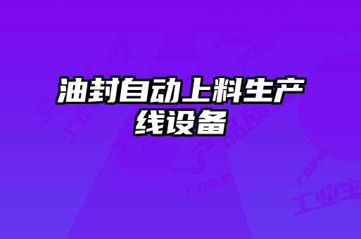 油封自動上料生產線設備