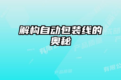 解構自動包裝線的奧秘