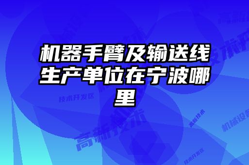 機器手臂及輸送線生產(chǎn)單位在寧波哪里