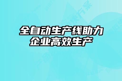 全自動生產線助力企業高效生產
