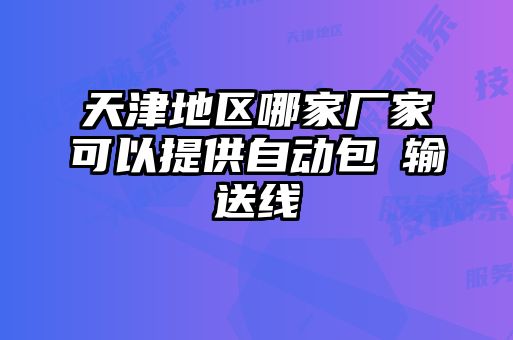 天津地區哪家廠家可以提供自動包裝輸送線